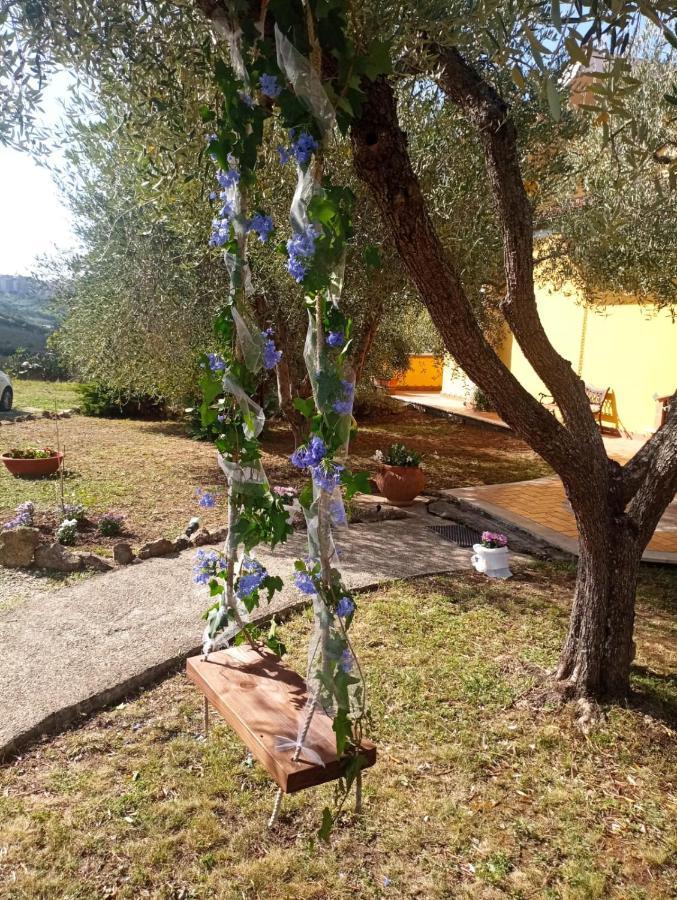 Alloggio Turistico La Maison De Mati Monterotondo  Exterior foto