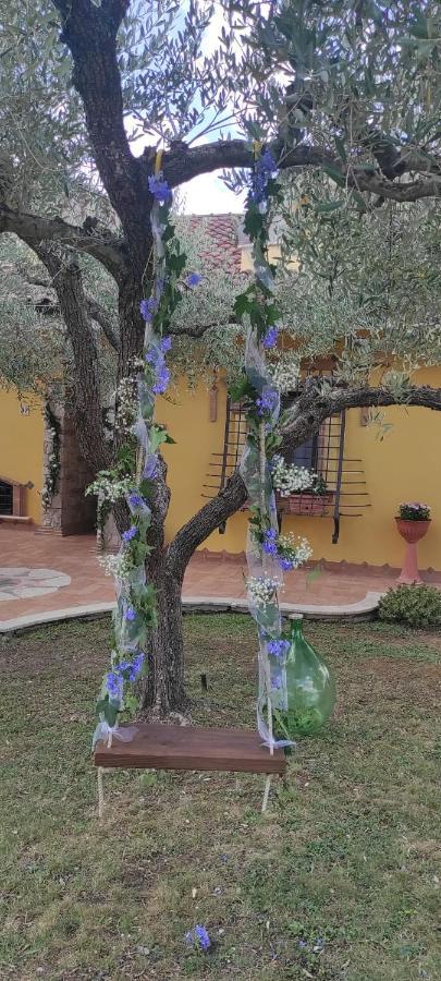 Alloggio Turistico La Maison De Mati Monterotondo  Exterior foto